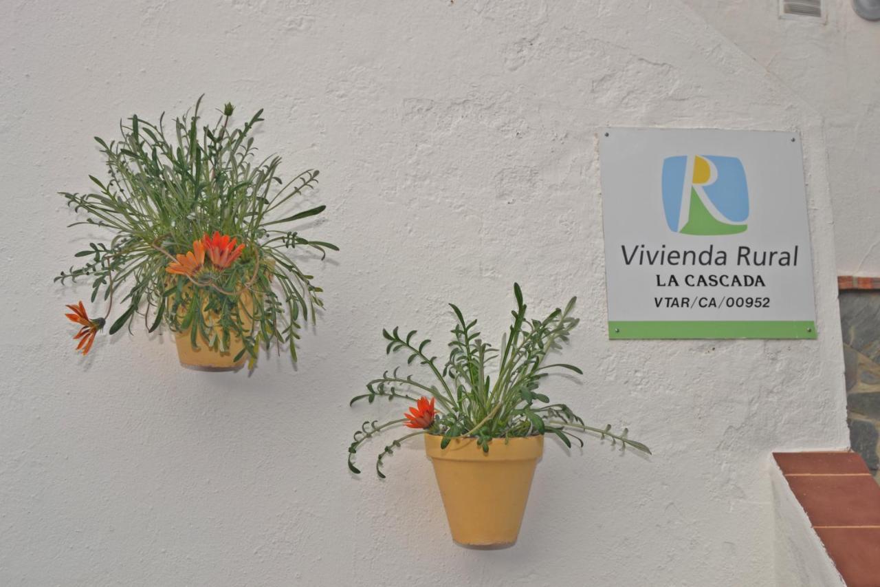 Vila Casa La Cascada El Bosque Exteriér fotografie