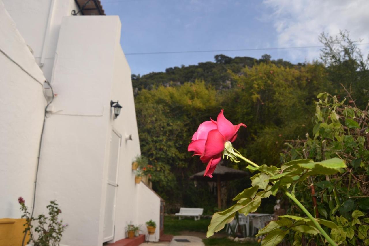 Vila Casa La Cascada El Bosque Exteriér fotografie
