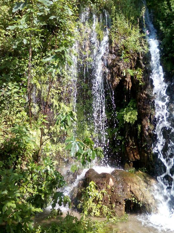 Vila Casa La Cascada El Bosque Exteriér fotografie